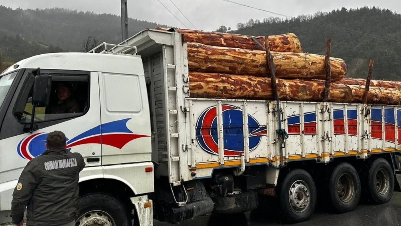 Sinop’ta orman ürünlerine 183 noktada denetim