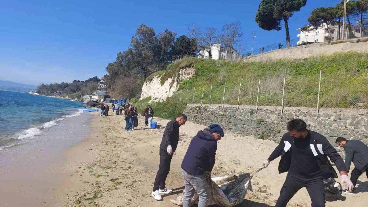 Sinop’ta sahil temizliği