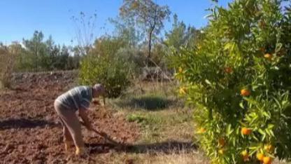 TARIM DA ÇÖZÜM ODAKLI POLİTİKALAR