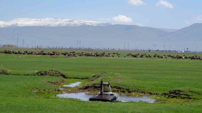 Tarımda önder üretici modeli vurgusu