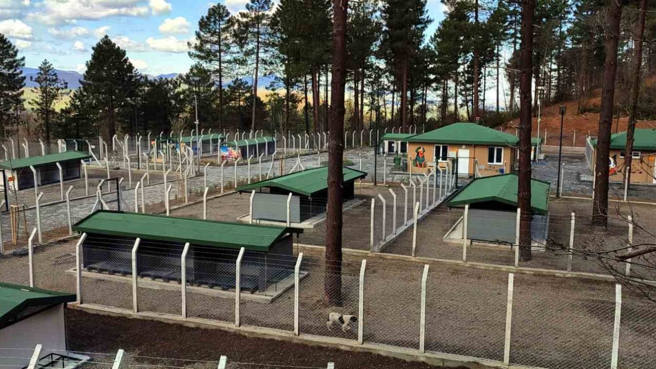 Ünye’de sahipsiz hayvanlar için örnek tesis tamamlanıyor