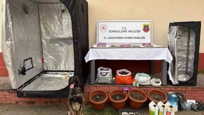 Zonguldak’ta jandarmanın uyuşturucu operasyonunda 2 şüpheli tutuklandı