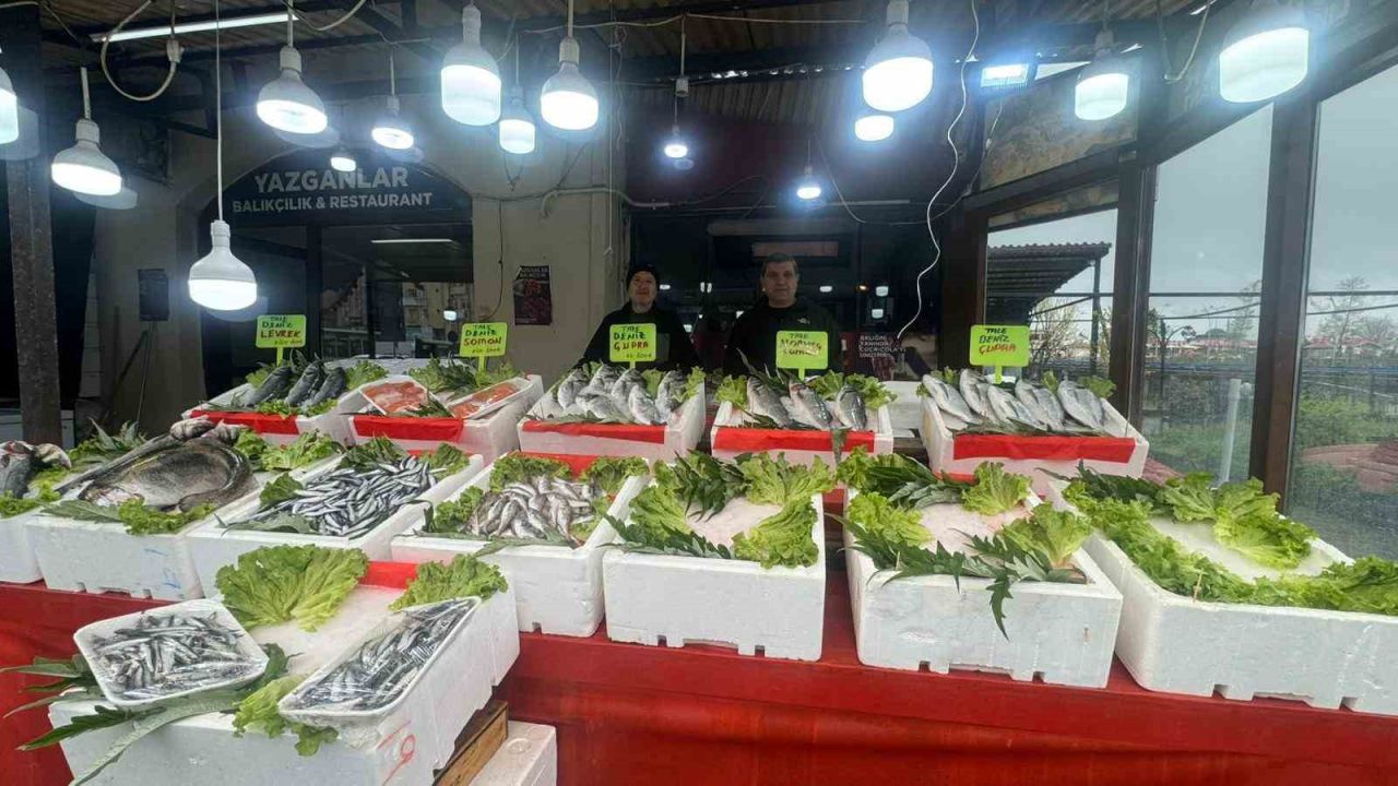Alaplı balıkçı tezgahlarında çeşit bitti mezgit fiyatı 500 liraya çıktı