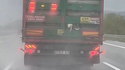 Otoyolda tırdan sarkan tavuklar kameraya yansıdı