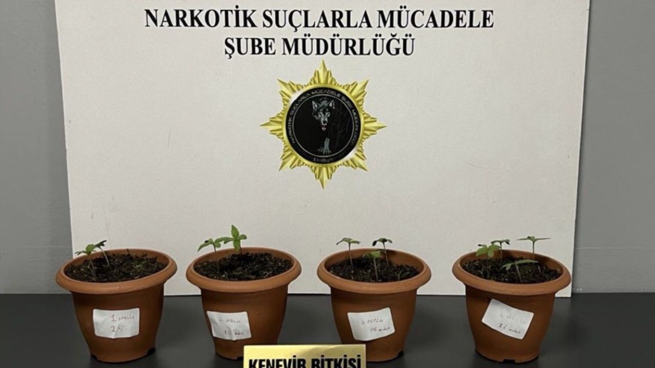 Samsun’da uyuşturucu operasyonu: 4 gözaltı