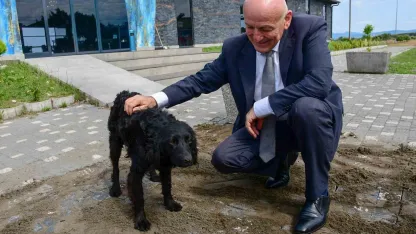 Terme’de sevgi ve merhamet projesi