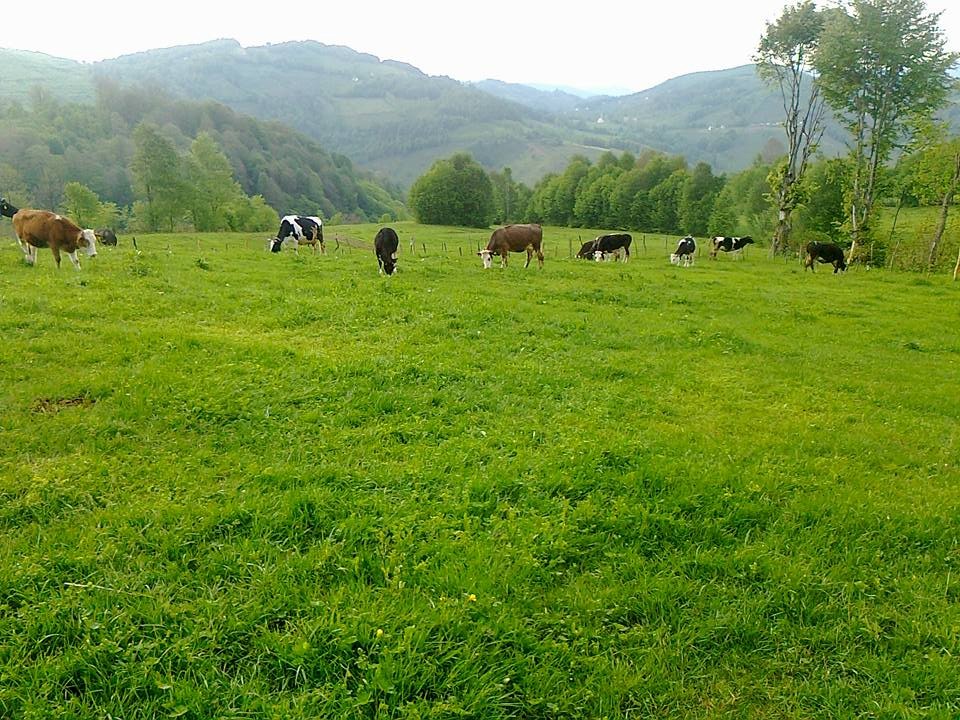 GÜZELYURT BELGESELİ - YAPIMCI: YEKTA KAYA