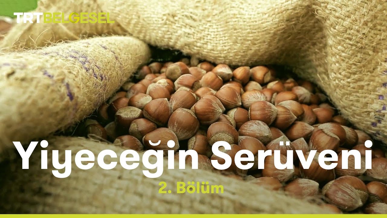 Yiyeceğin Serüveni | Fındık