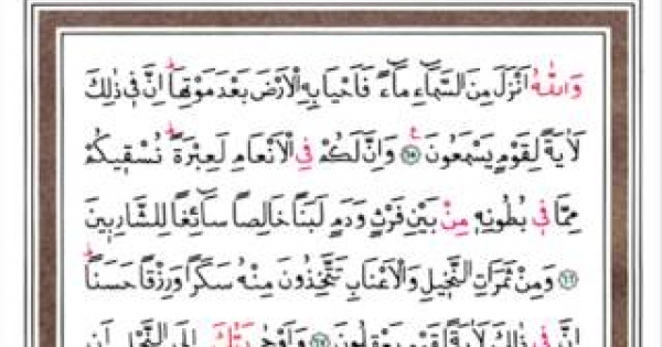 HATMİ ŞERİF KURAN- I KERİM 14.Cüz Mukabele