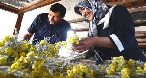 Kırsala dokunan sihirli eller, bir köyün kaderi böyle değişiyor