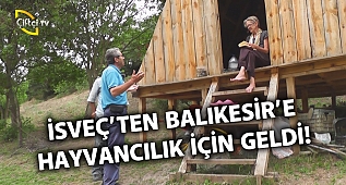 İsveç'ten Balıkesir'e Hayvancılık İçin Geldi! (Salma Sığır Yetiştiriciliği) - Çobanla Baş Başa