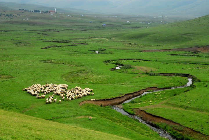 AYBASTI PERŞEMBE YAYLASI BELGESELİ