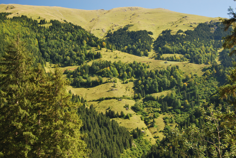 Bir Turistin Gözünden Ordu